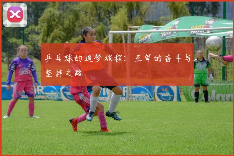 乒乓球的追梦旅程：王军的奋斗与坚持之路