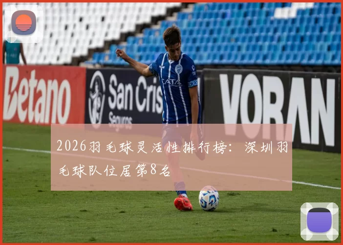 2026羽毛球灵活性排行榜：深圳羽毛球队位居第8名