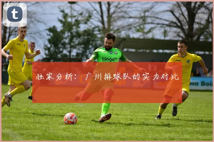 独家分析：广州排球队的实力对比