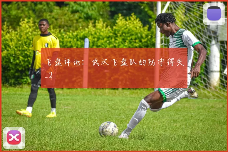 飞盘评论：武汉飞盘队的防守得失_2