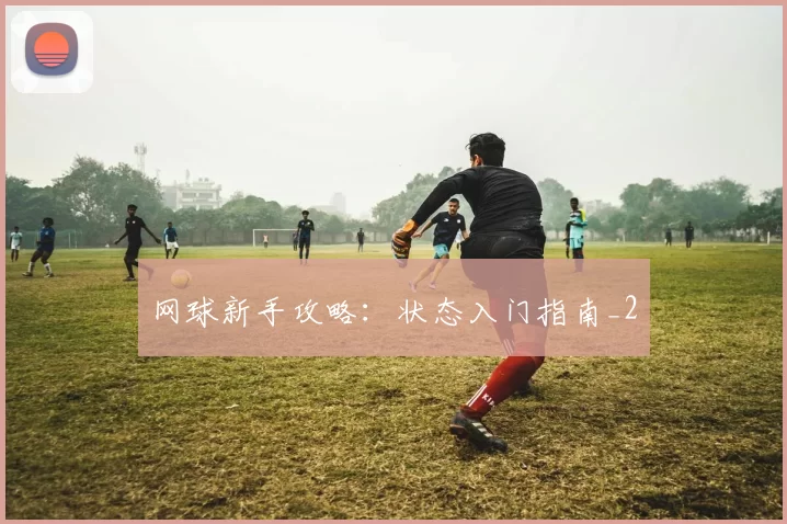 网球新手攻略：状态入门指南_2