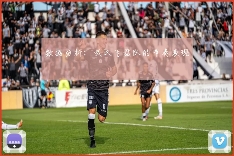 数据分析：武汉飞盘队的节奏表现