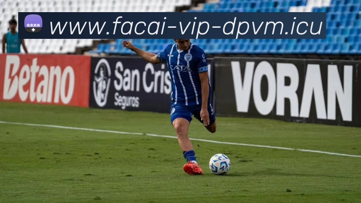 爱游戏体育平台生态图