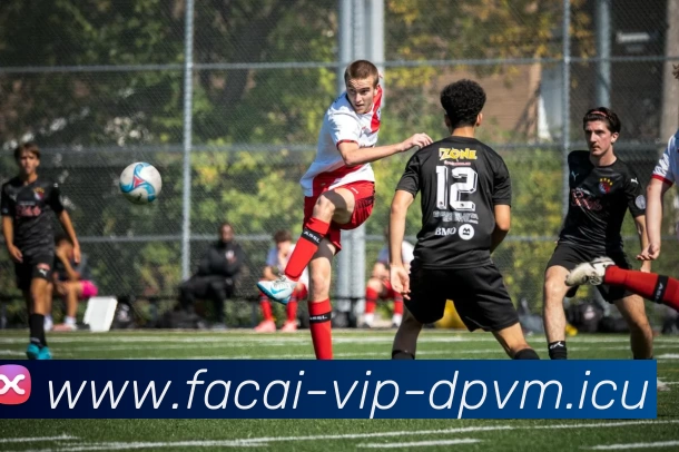 爱游戏体育全站App